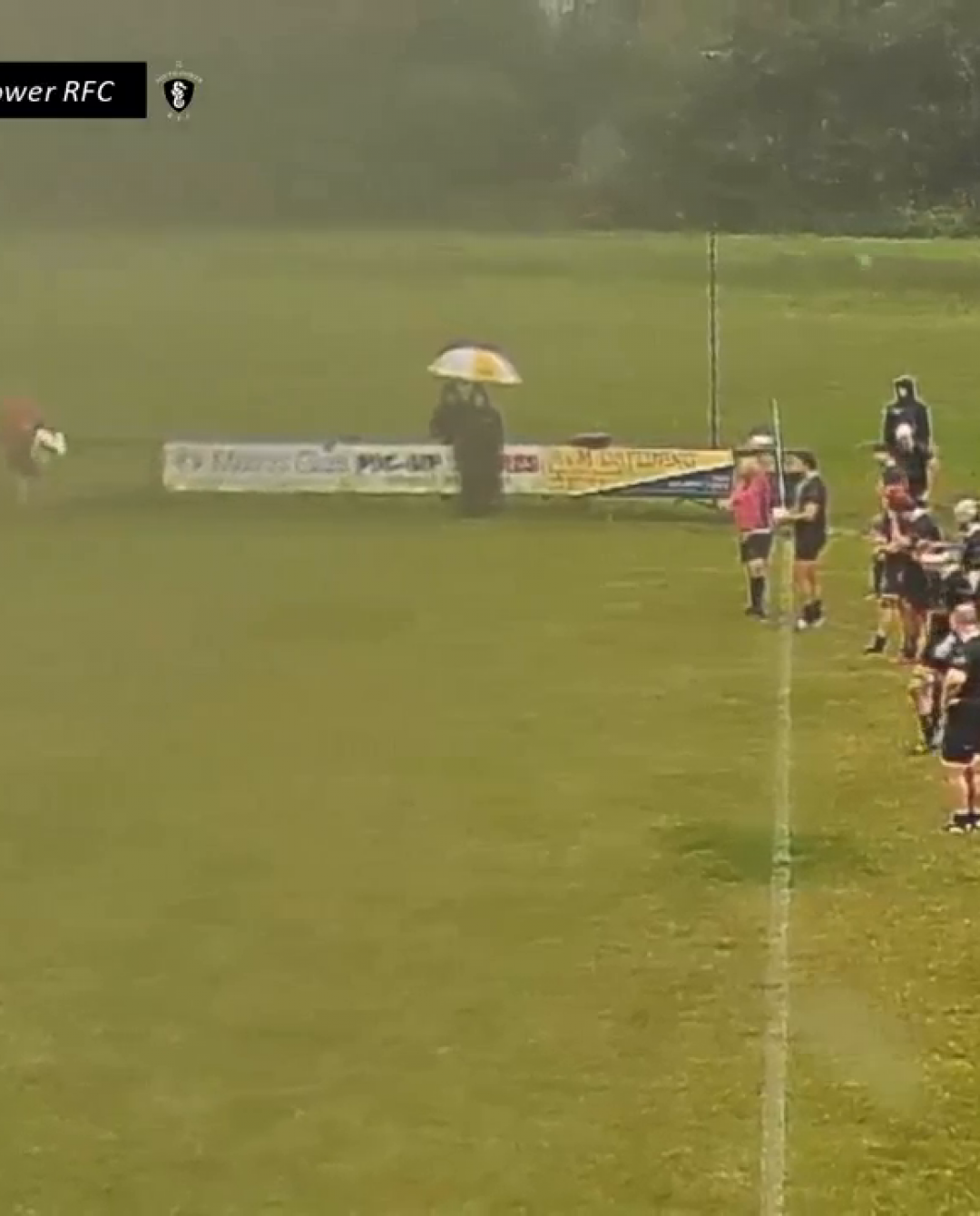 Birchgrove RFC VS South Gower RFC